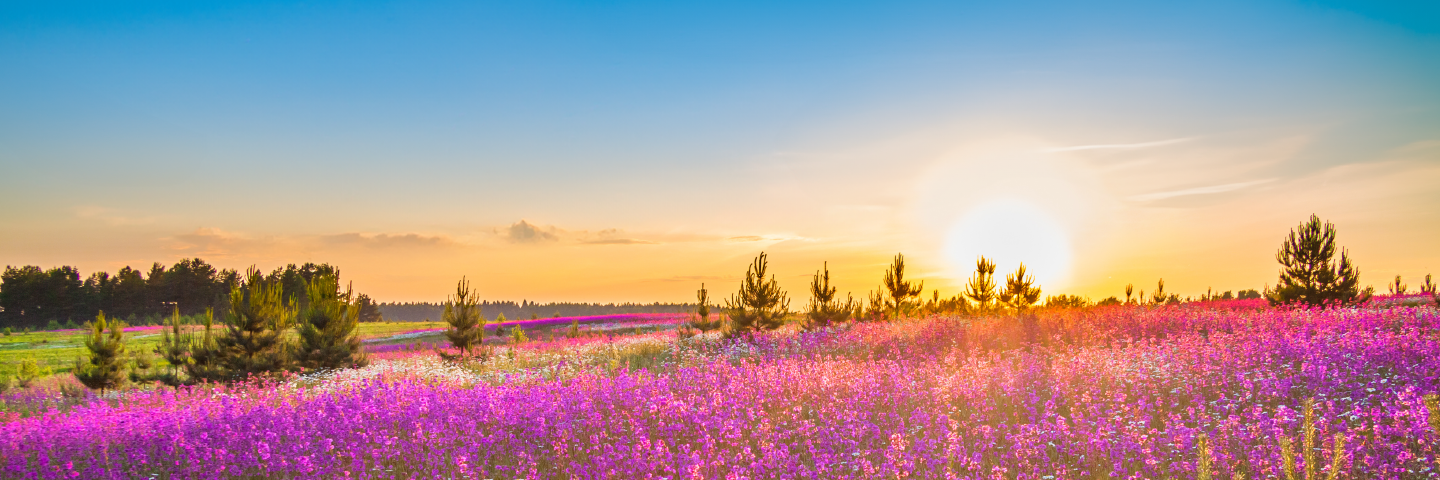 Have an a-may-zing Bank Holiday!