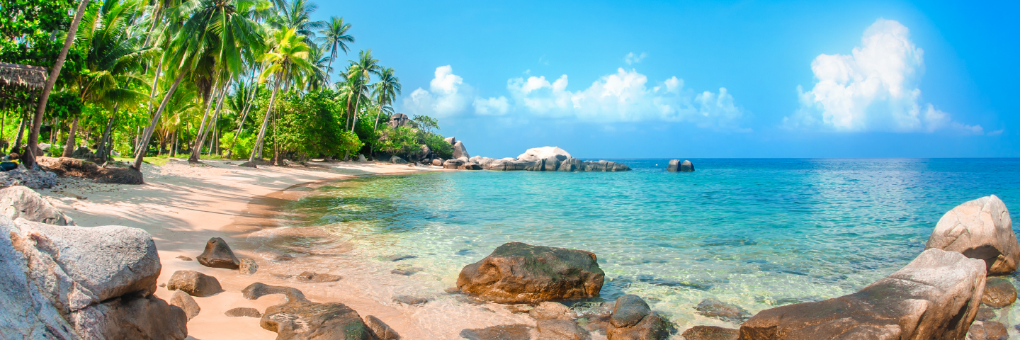 Summer Bank Holiday Opening Hours