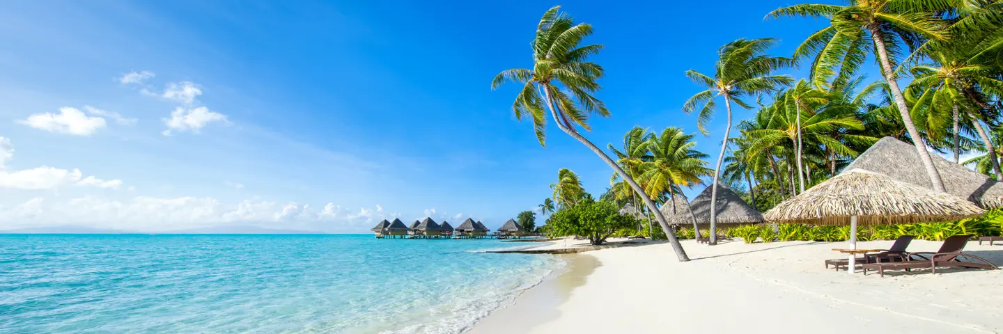 Destination Paradise